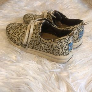 Cheetah toms